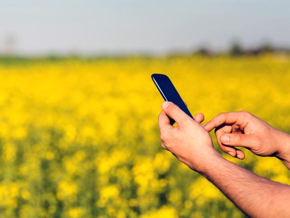 Phone on the field